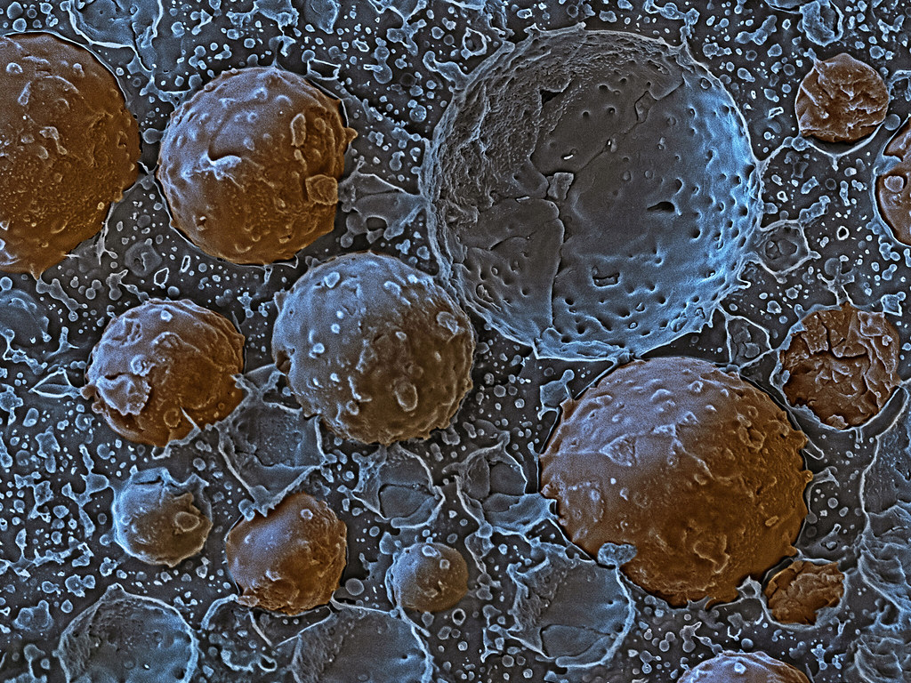 Role of Surfactants in Emulsion